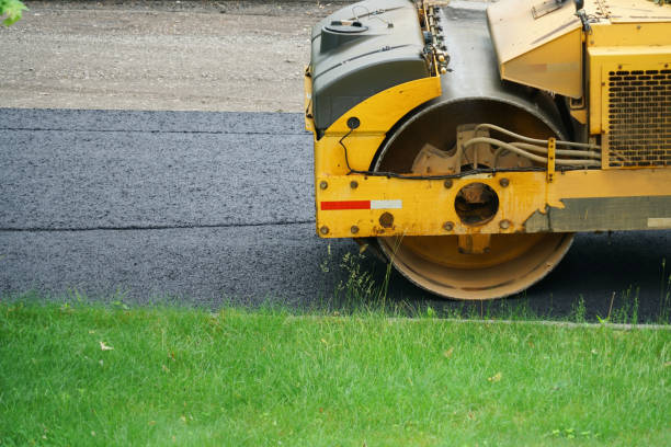 Best Driveway Paving Contractor  in Lake Of The Woods, IL